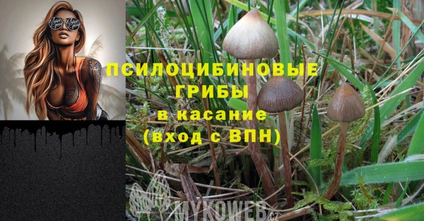 марки lsd Козловка