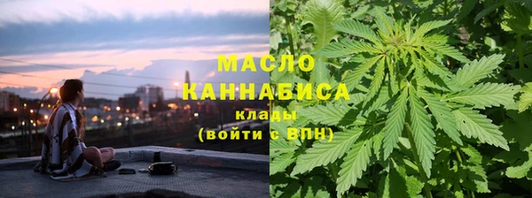 гидра Корсаков