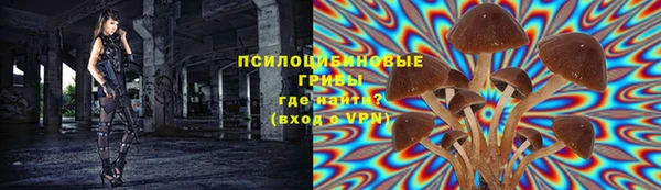 соль ск Костерёво