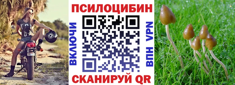 Псилоцибиновые грибы Magic Shrooms Купить где Гатчина